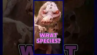What species is Rudy from Ice Age 3?