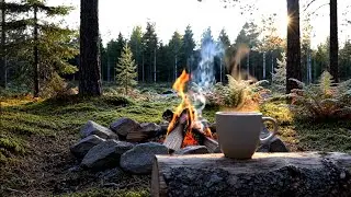 Forest Campfire Ambience | Quiet Morning Fire in the Woods for Slow Living