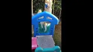 Turbo's slide adventure