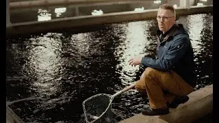 Žuvų ūkis - komercinis video klipas