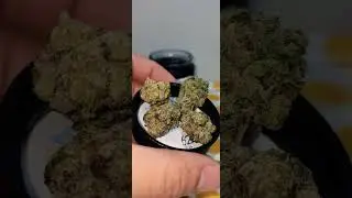 California Gold Farm | Slurp Juice 🧉