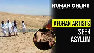 Afghan Artists Fight for Safety: Their Plea to Peshawar High Court | Human Online
