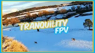 Tranquility | FPV Cinematic flight