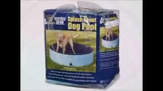 Pools For Dogs - Your Dog Will LOVE A Dog Pool This Summer!