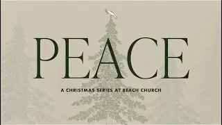 How To Obey Without Delay: PEACE | Week 2