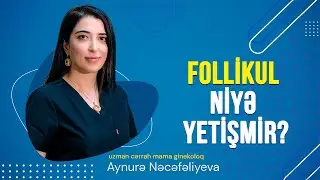 Follikul niyə yetişmir? -  ginekoloq uzman dr.Aynurə Nəcəfəliyeva