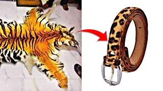 ऐसे बन्ते है Leather Belt!😳|TooMuchFacts| #|eather #tiger