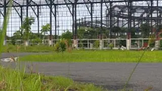 YROI MALANG RACE @ Kenjeran, 12 Feb 2015