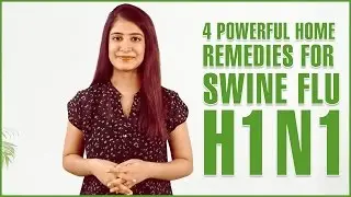 4 Best Home Remedies For SWINE FLU TREATMENT - H1N1 INFLUENZA