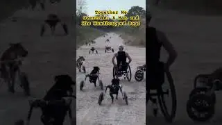 Unstoppable Bonds: A Handicapped Man and His Handicapped Dogs #shortsvideo #dog #kindnesschallenge