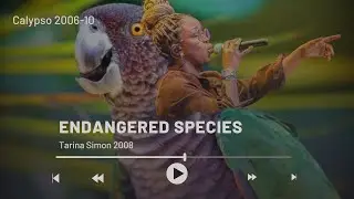 ENDANGERED SPECIES | Tarina S. Simon 