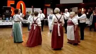 Säkkijärven polkka by Vipinä