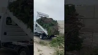 Iveco benne &Eacute;vacuation ￼