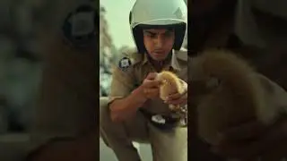 Kitten Trapped in Traffic &mdash; Police Step In for a Rescue 🐾🚓#KittenRescue #PoliceRescue #AnimalRescue