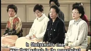 Are Buddhists allowed to keep pets?(GDD-506, Master Sheng Yen)