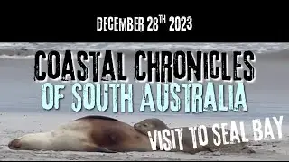 Coastal Chronicles of South Australia - Visit to Seal Bay 