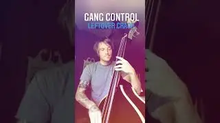 Gang Control - Leftover Crack (Upright Bass Cover)