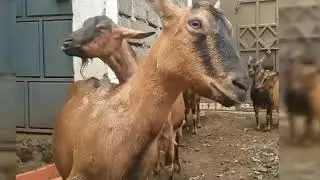 New farming methods farmers have embraced