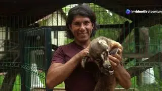 Steve Irwin: The Crocodile Hunter's Legacy