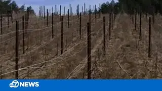 North Bay residents say their water wells are nearly completely dry
