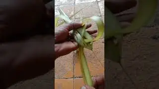 Cara membuat ketupat jantung untuk pemula#cara #@Aria-y82 #tutorial#ketupatlebaran 