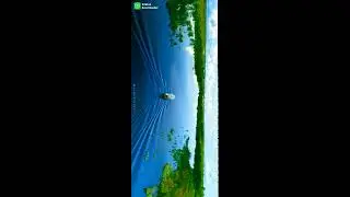 4k Landscape Nature Full Screen HD What'sapp Status 🫒 Nature Morning Vibes 4k Full Screen HD Status|