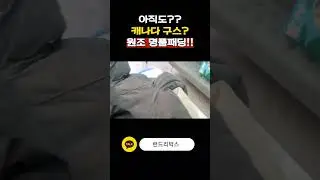 원조 명품 캐나다구스 세탁접수 아직도 캐나다구스 패딩? #런드리박스 #패딩세탁 #명품세탁 #캐나다구스 #명품패딩세탁