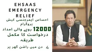 Ehsas Emergency Relief Fund Rs 12000 || How to Register Insaf Imdad Online || Mast Brain