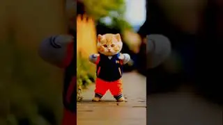 #Ep294🐾🐈😺🥰Cute kitten #cat819K#lovecats #cats #catvideos#kit