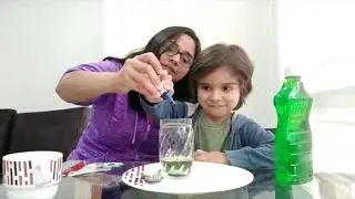 Experimento sobre la Honestidad / Mundo de Alegría
