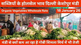 सब्जियों के थोक भाव 18 January 26 | Wholsale vegetable Market Keshopur Mandi Delhi #vegetables