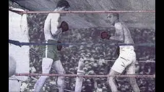 BOXING ANIMATED 3D IMAGE VFX