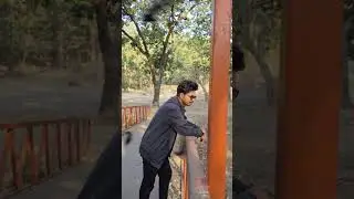 bawal #usa #ytshorts #yt #love #bolleywoodsong #hindisong #hindisongs #hindisongs #bollywoodsongs