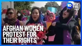 Afghan Women Risk Their Lives To Protest | 10 News First
