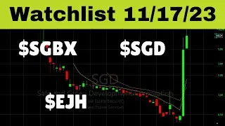 Stock Watchlist November 23 - SGD SGBX EJH