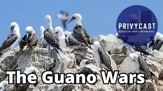 The Guano Wars
