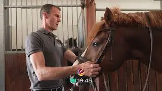 landuf, landab | Trailer Murtensee - Broye