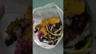Composting in place using kitchen waste - Part 2