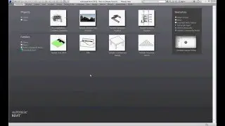 Revit Transfer Project Standard