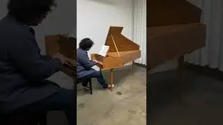 Burton Franco-Flemish single Harpsichord