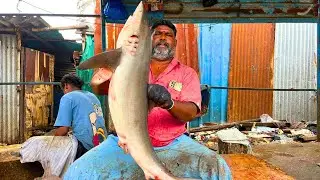 KASMEDU 🔥 MINNAL RAJA | SHARK 🦈 FISH CUTTING VIDEO | FF CUTTING 🔪