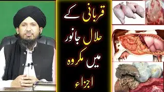 Qurbani KE Halal Janwar Me Makroh Ajza Ojhre & Kapure Ka Hukam? BY Mufti Rashid Mahmood Razvi