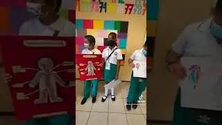 sistema circulatorio (3 y 4 grado)