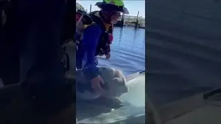 Small Kindness, Big Impact: Extending an Animal's Life