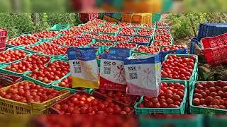 Timac agro KSC1 KSC3 KSC5 