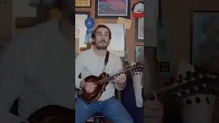 Little Liza Jane-Mandolin #mandolin #music #bluegrassmandolin