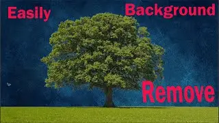 How to remove easily Complicated picture background.