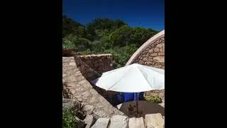 form follows physics