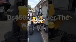 Ds450x