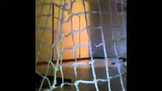 Ezpuck onetimer passer review